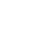 蜜桃在线视频电缆